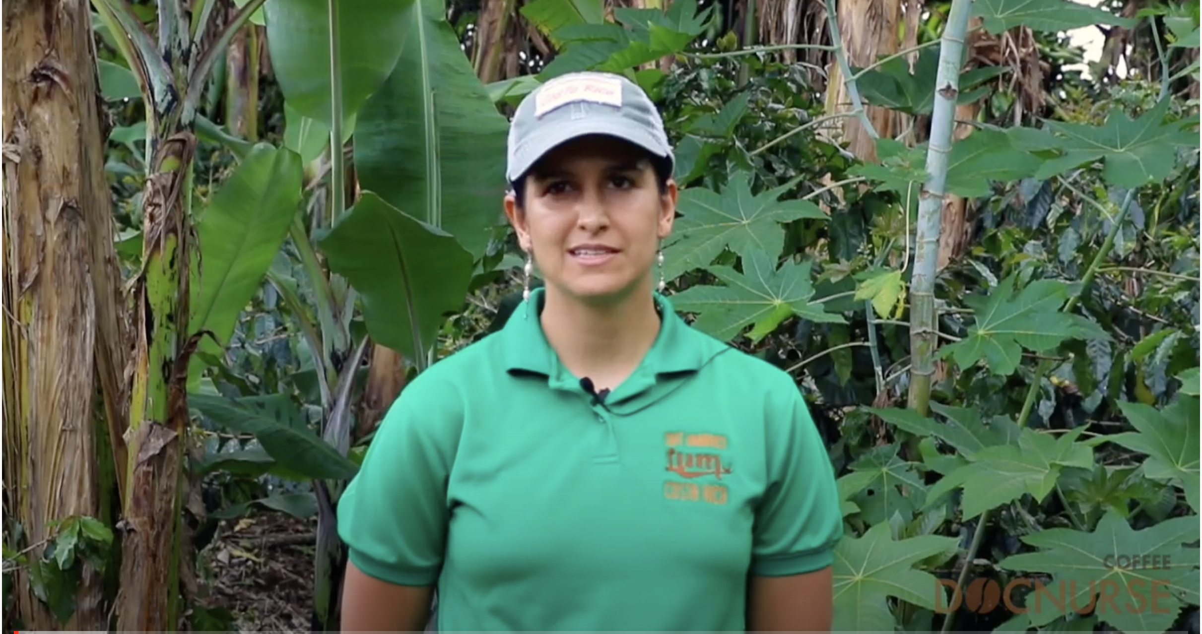 Our Organic Coffee