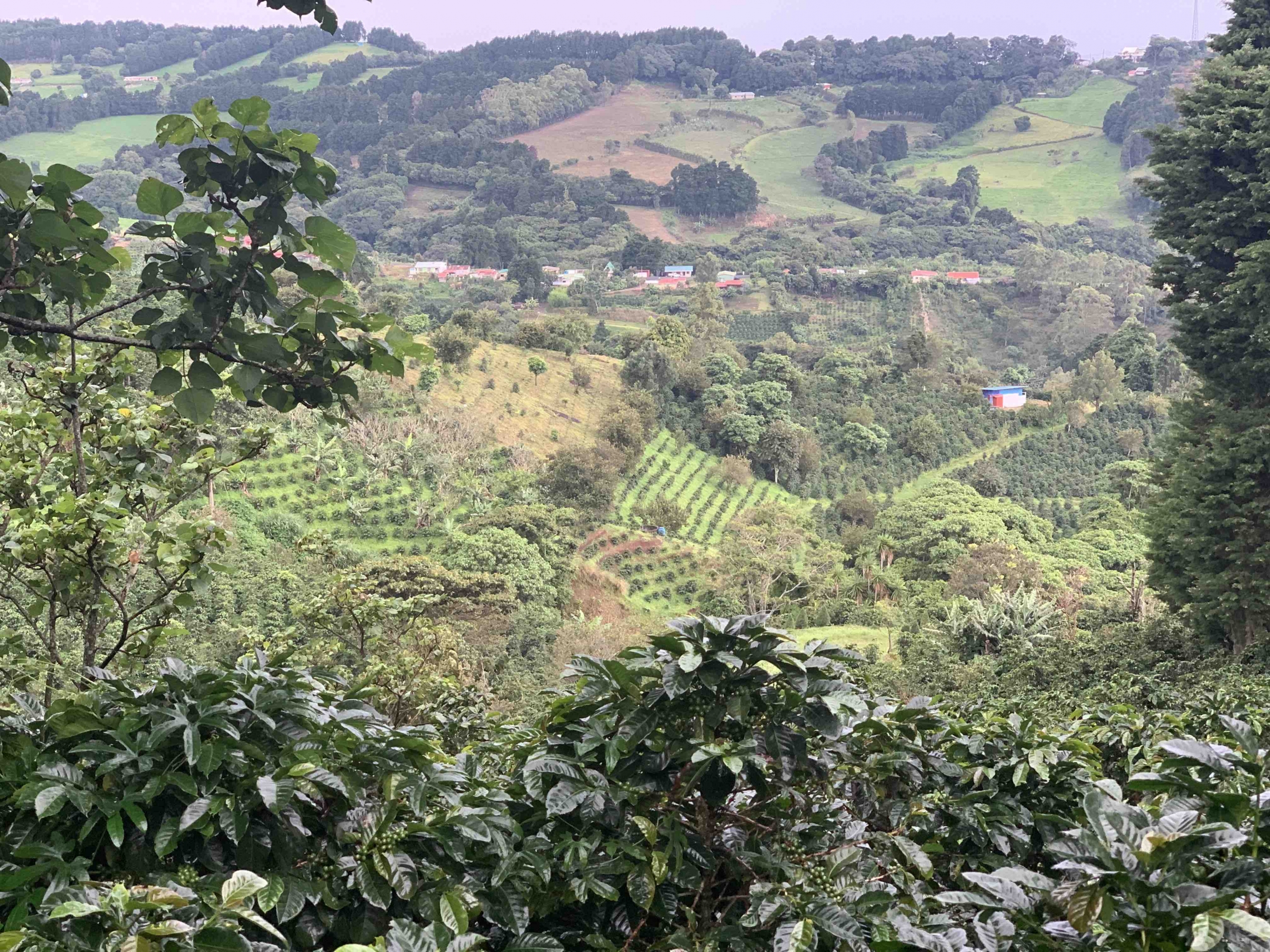 la-isabela-microlots2